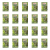 1773269232606-2729-2-x20-p80dfq.png