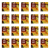 1773269243916-2740-2-x20-619c1.png