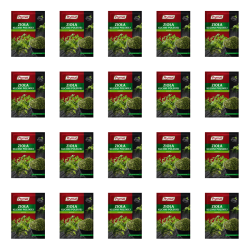 1773270012687-3746-2-x20-cc2fq5.png