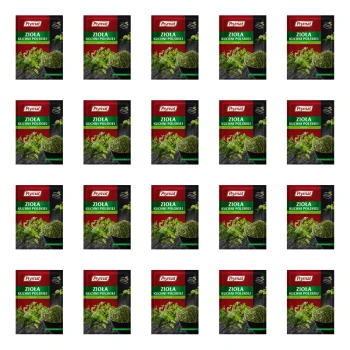 1773270012687-3746-2-x20-cc2fq5.png
