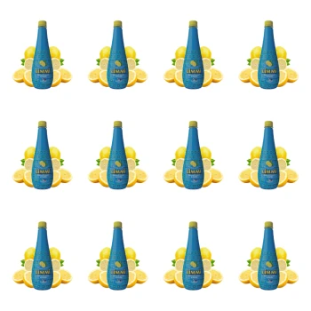 1773269055007-2507-2-x12-8kqq8v.png