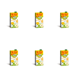 1773269911158-3636-2-x6-4rqdbo.png