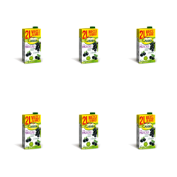 1773269912384-3638-2-x6-zcijhd.png