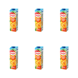 1773271732720-6028-2-x6-63dhp4.png