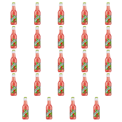1773272484862-6979-2-x24-vsoeii.png