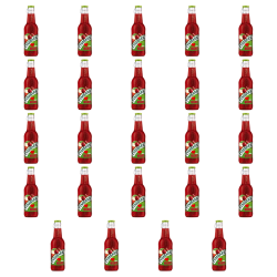 1773272538860-7066-2-x24-se5ex.png