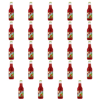 1773272538860-7066-2-x24-se5ex.png