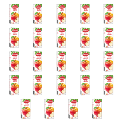 1773272639781-7213-2-x24-l5xwj.png