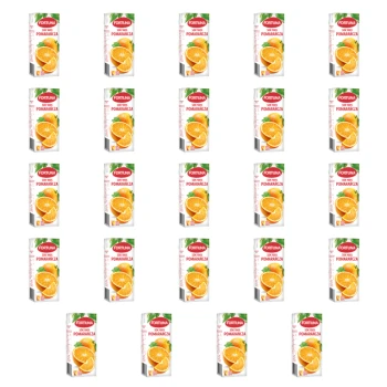1773272640414-7214-2-x24-cqrg3c.png