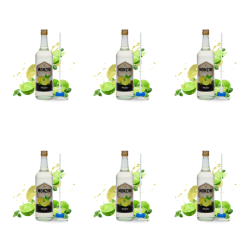 1773274538012-9983-2-x6-p0t1y.png