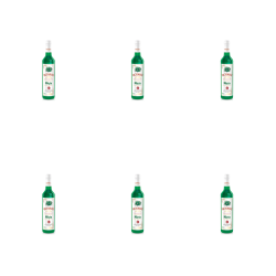 1773274539014-9985-2-x6-rfgi0p.png