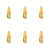 1773274769298-10317-2-x6-nmdnf8.png