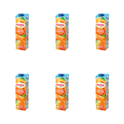 1773275632240-11578-2-x6-ik7uzf.png