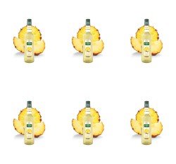 image-editor%2Fmultipack%2F1777030550808-r145-c1-x6.png