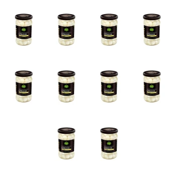 1773268068356-1111-2-x10-nyon9w.png