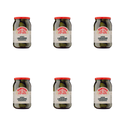 1773268396962-1559-2-x6-m3u6l9.png