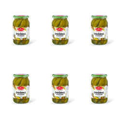 1773269042126-2489-2-x6-2ljdm5c.png
