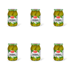 1773270416453-4283-2-x6-5v9dhi.png
