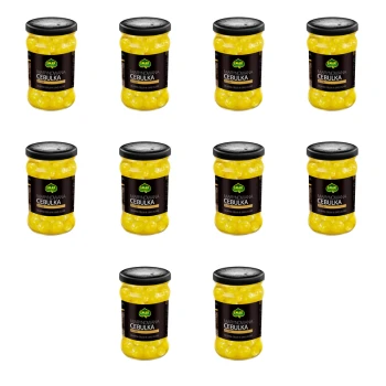 1773272174415-6577-2-x10-jvst4.png