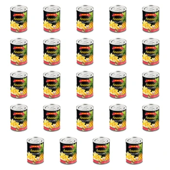 1773268916082-2308-2-x24-1jgo6n.png