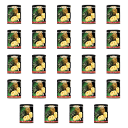 1773270403599-4266-2-x24-r02jd4.png