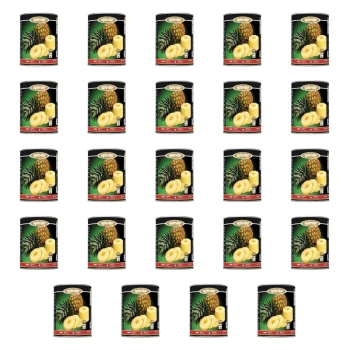 1773270403599-4266-2-x24-r02jd4.png