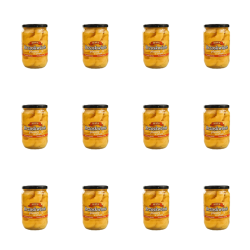 1773271831373-6146-2-x12-fwqw7c.png
