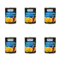 1773273246693-8148-2-x6-ylzhpp.png