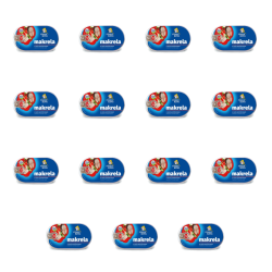 1773267346087-144-2-x15-2mfz8.png