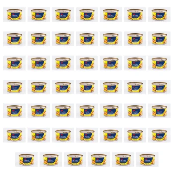 1773267350303-149-2-x48-xwodv.png