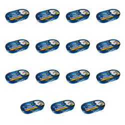 1773267729834-667-2-x15-lanpgs.png