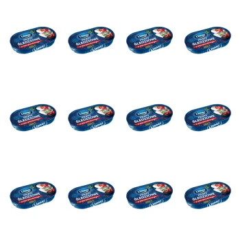 1773268930124-2325-2-x12-bm52uv.png