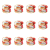 1773268931580-2327-2-x12-6pb3lk.png