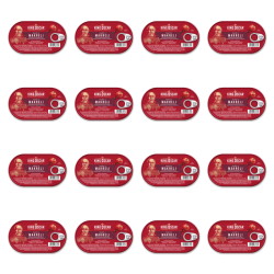 1773269886415-3596-2-x16-t5sxg.png