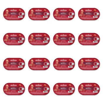 1773269886415-3596-2-x16-t5sxg.png