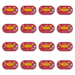 1773269887715-3598-2-x16-aoexog.png