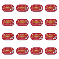 1773269888494-3599-2-x16-a6g04k.png