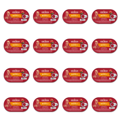 1773269889166-3600-2-x16-6ozofe.png