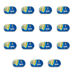 1773269892865-3605-2-x15-i1cht8.png