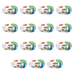 1773271698585-5986-2-x15-pkzxr.png