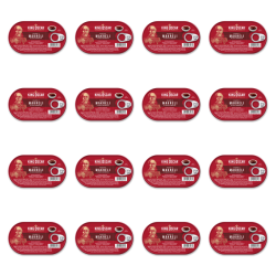 1773271730201-6025-2-x16-ohwjqd.png