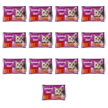 1773267860592-837-2-x13-6baxl6.png