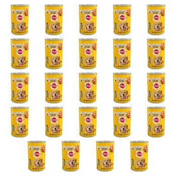 1773268007387-1027-2-x24-7ocj9s.png
