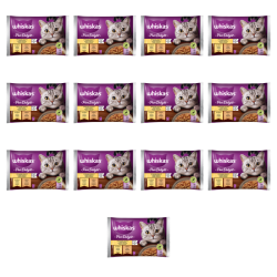 1773269660487-3305-2-x13-ireebg.png