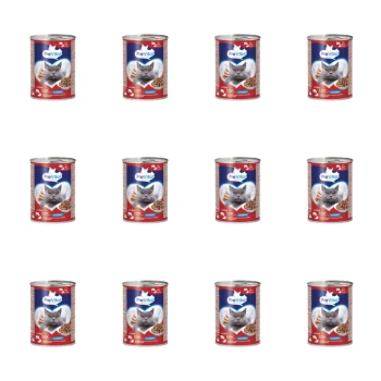 1773269663576-3309-2-x12-u9gbii.png