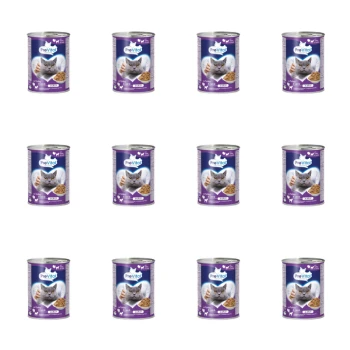 1773269664284-3310-2-x12-rtaiie.png