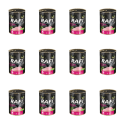 1773269667871-3316-2-x12-y29jkn.png