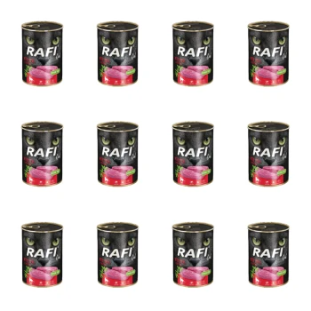 1773269668951-3317-2-x12-qerlx.png