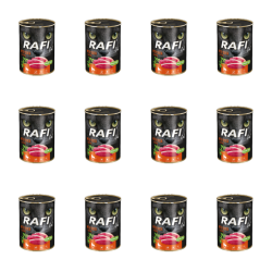 1773269669738-3318-2-x12-iapgkc.png