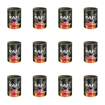 1773269669738-3318-2-x12-iapgkc.png